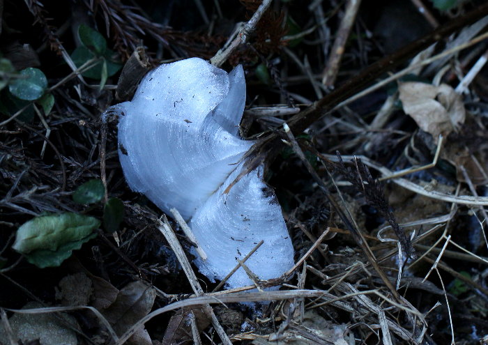 f0181173_22122936.jpg