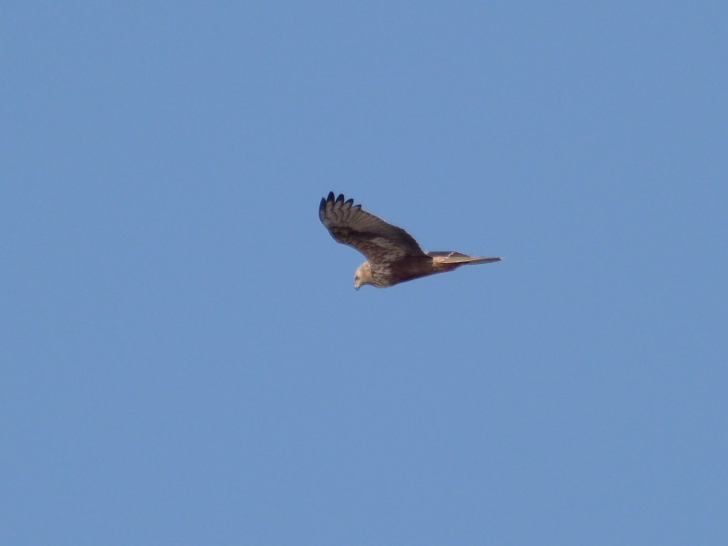 f0372177_21104339.jpg