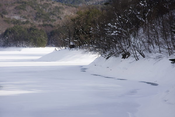 b0247880_714390.jpg