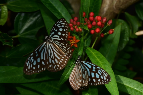 f0348480_17231146.jpg