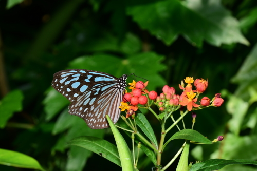 f0348480_17242319.jpg