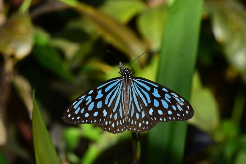 f0348480_17273936.jpg