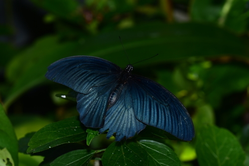 f0348480_17361183.jpg