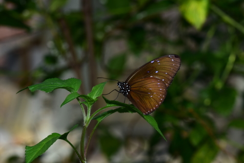f0348480_17414182.jpg