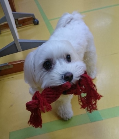 独り占め_f0357682_17125027.jpg