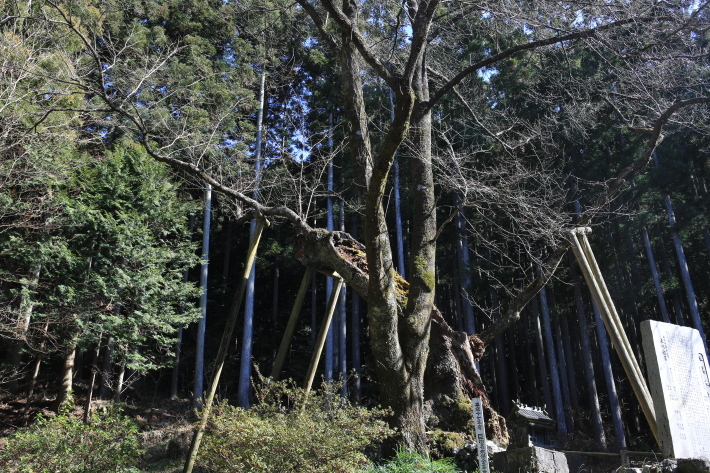 c0358784_13140120.jpg