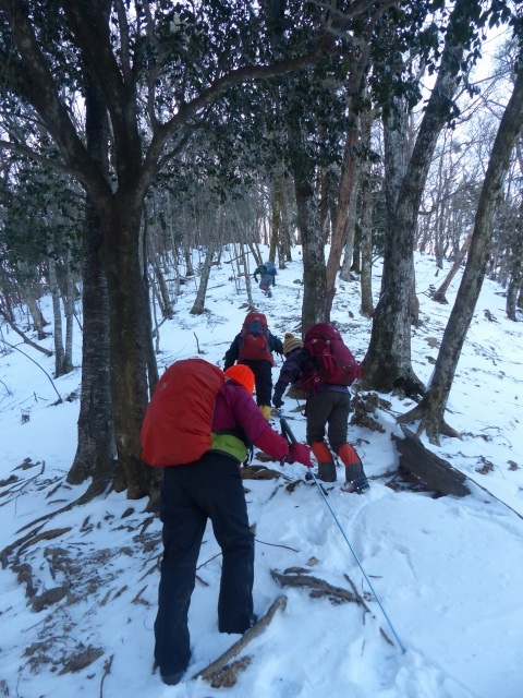 五家荘の山と霧氷 鷹巣山～蕨野山～岩茸山縦走_f0357487_22112247.jpg