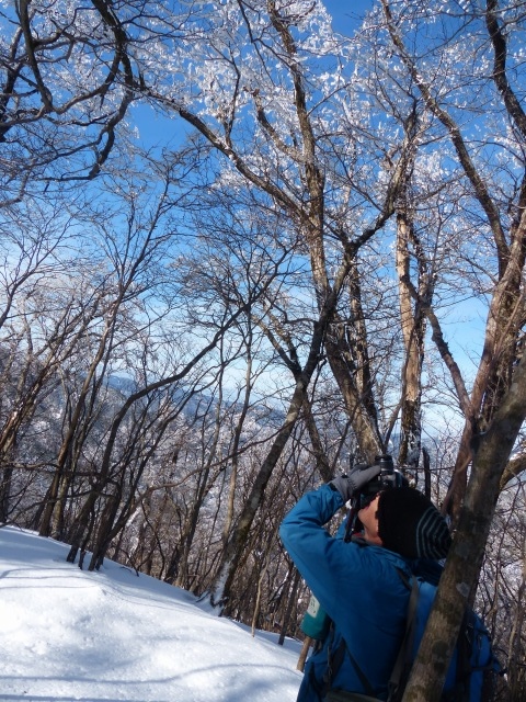 五家荘の山と霧氷 鷹巣山～蕨野山～岩茸山縦走_f0357487_22292020.jpg