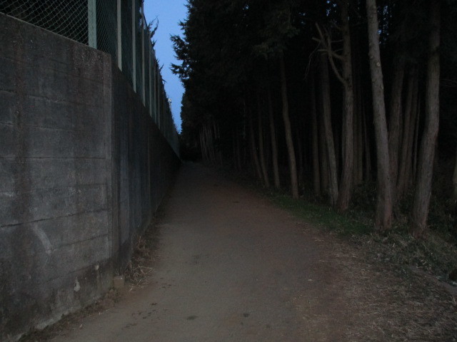 f0362589_07210810.jpg