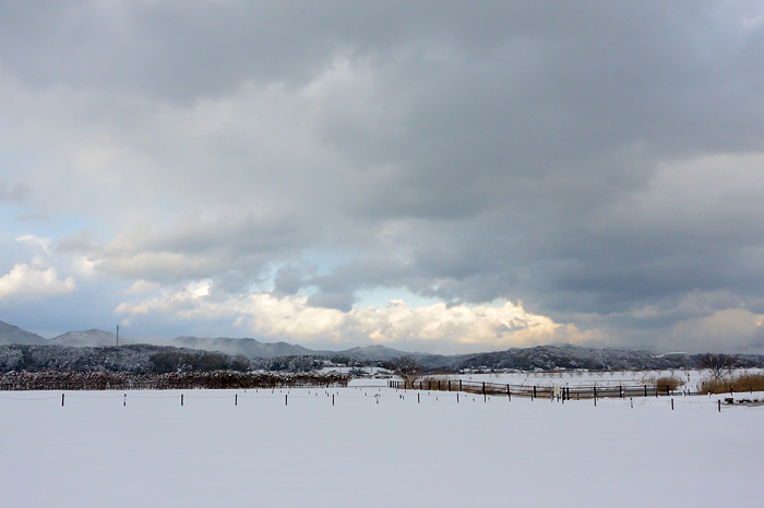 2017 01 23 雪の島根_a0143491_3281416.jpg