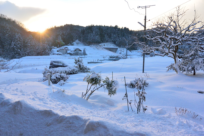 2017 01 23 雪の島根_a0143491_3291741.jpg