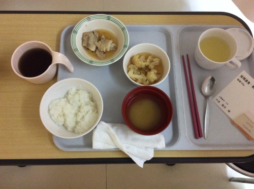 からだと病気 その48 鼡径ヘルニア その4_e0021092_13124406.jpg