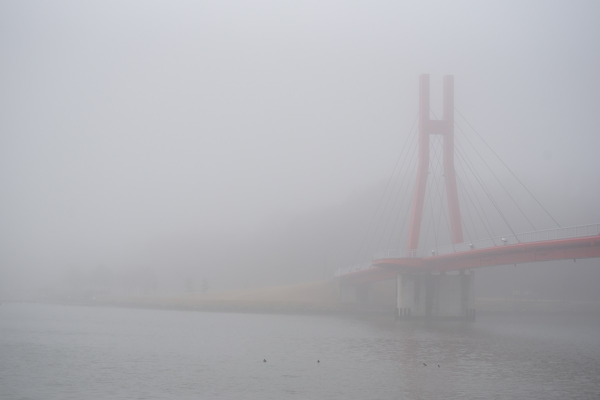 d0234293_17542955.jpg