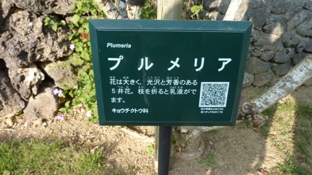 石垣島へ行ってきました (ホテル フサキリゾートヴィレッジ ①)_b0198696_23045897.jpg