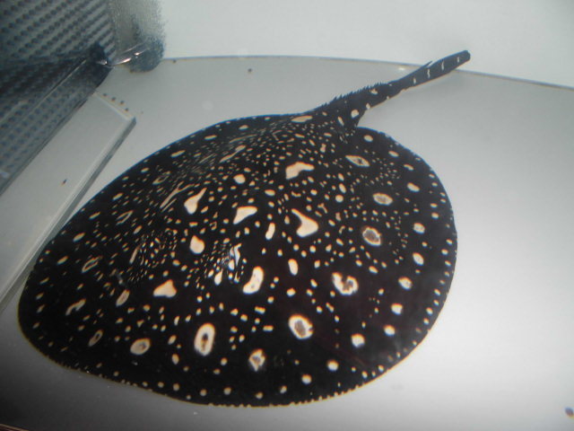 e0143096_11525769.jpg