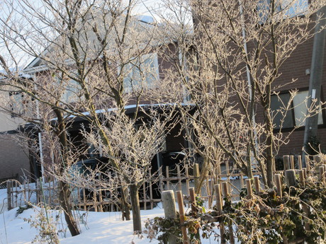 a0203003_17115997.jpg