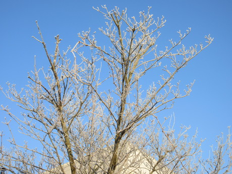 a0203003_1711938.jpg
