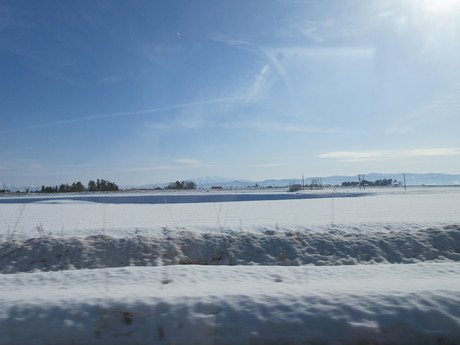 a0203003_17122589.jpg