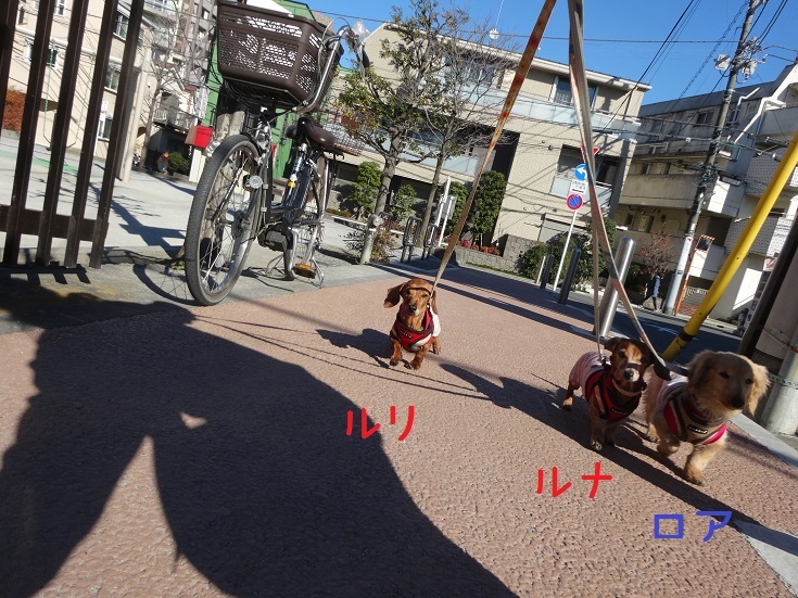 a0332203_00404143.jpg