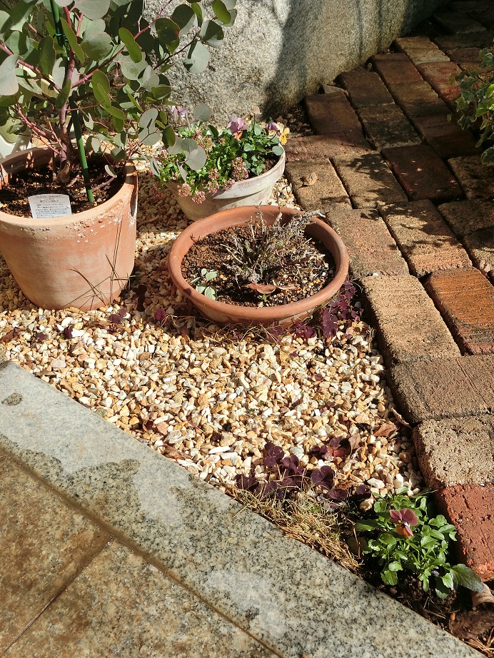 e0234004_17535711.jpg