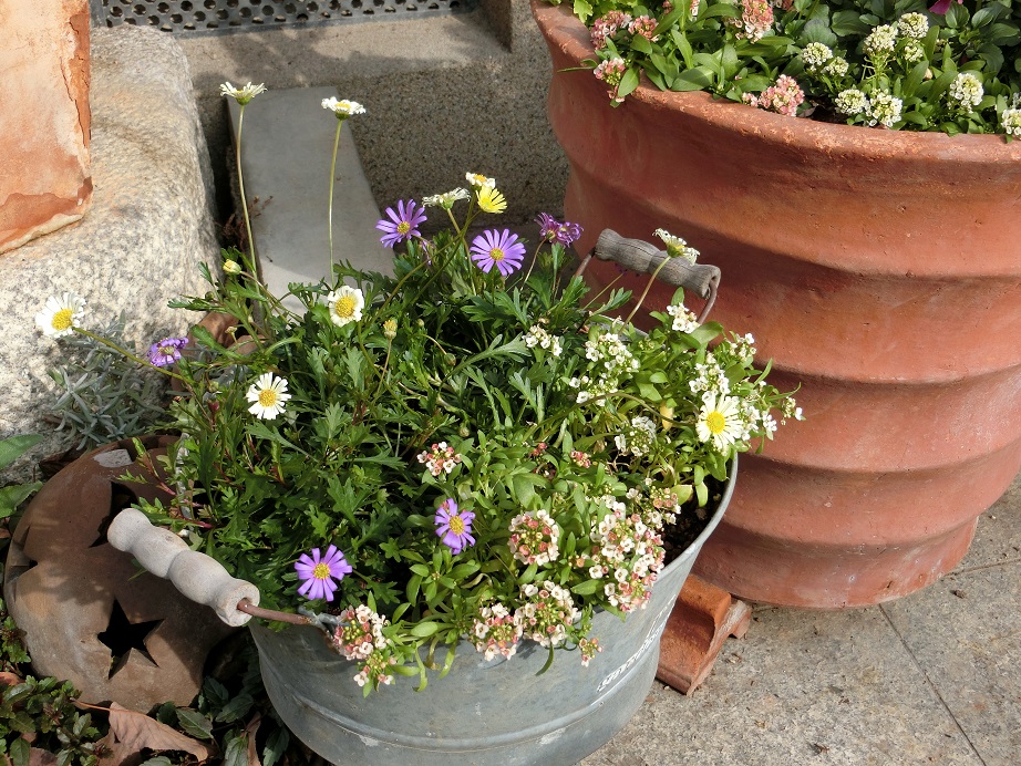 e0234004_1753786.jpg