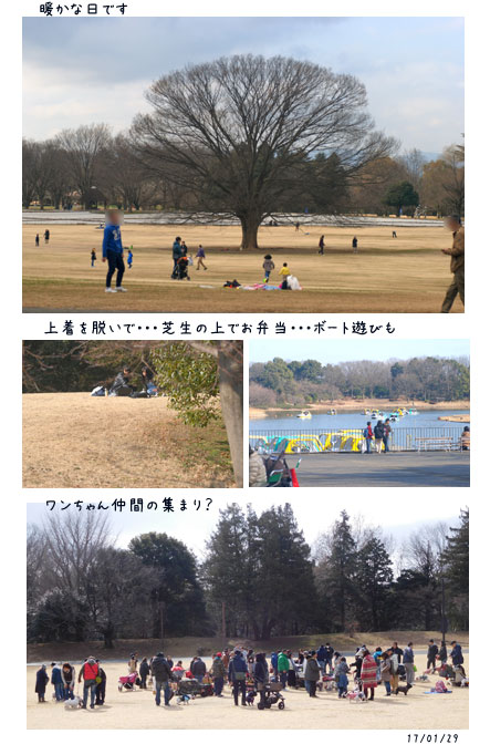 昭和記念公園のセツブンソウなど・・・_c0051105_2220750.jpg