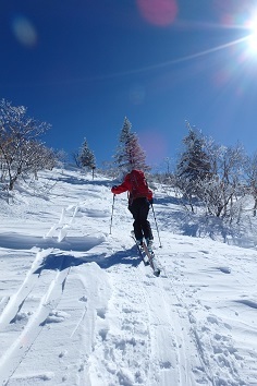 根子岳 (1月28日)_d0032405_16425008.jpg