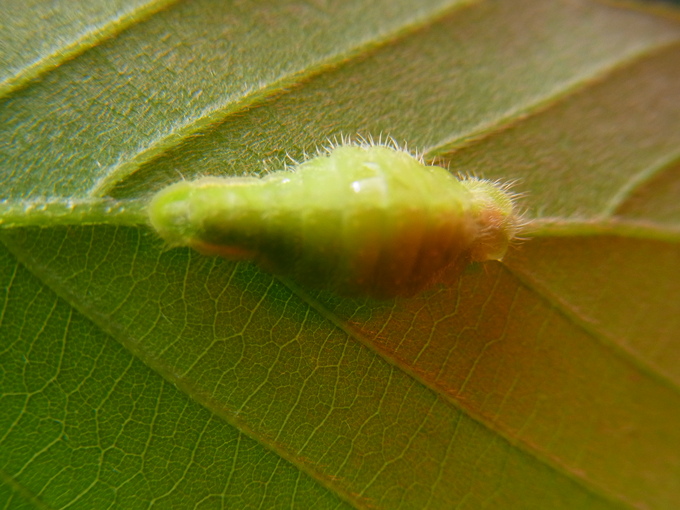 d0251807_1726493.jpg