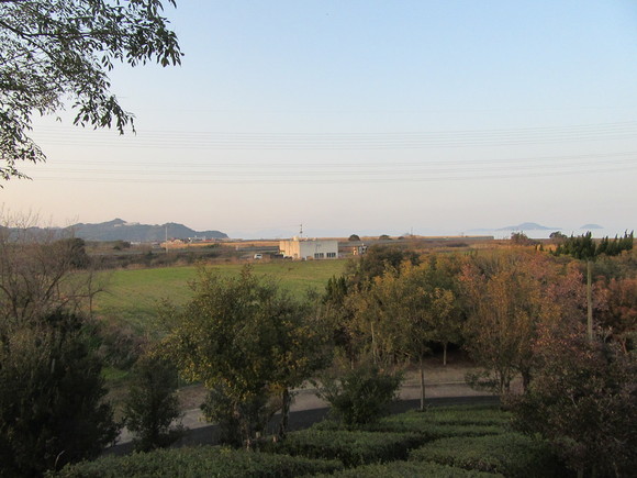 f0231709_028167.jpg