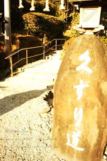 e0325911_00281054.jpg