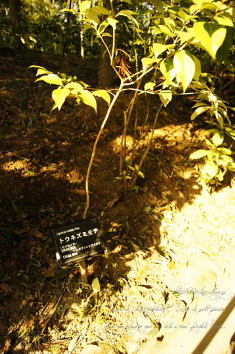 e0325911_00282724.jpg