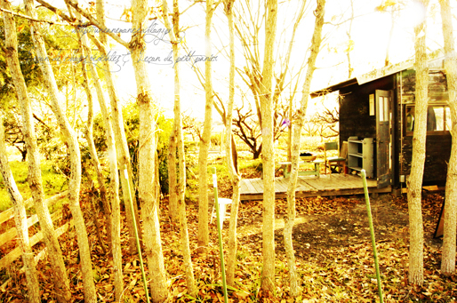 e0325911_21393739.jpg