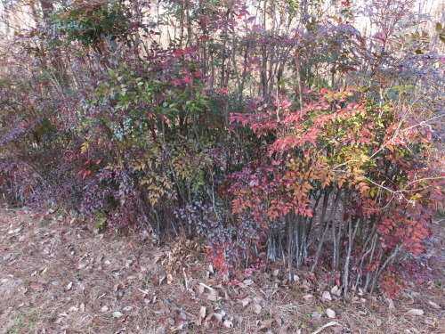 d0345712_01534930.jpg