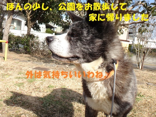 f0121712_14593948.jpg