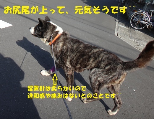 f0121712_15020200.jpg