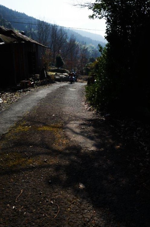 f0365212_07482681.jpg