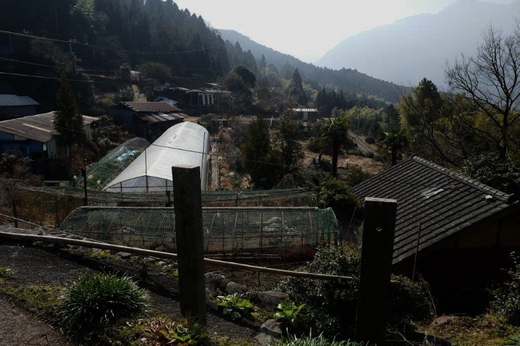 f0365212_07483182.jpg