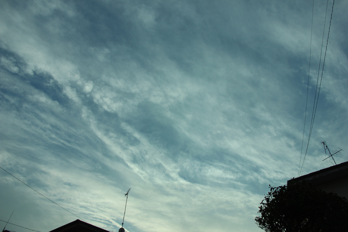e0034013_16413478.jpg