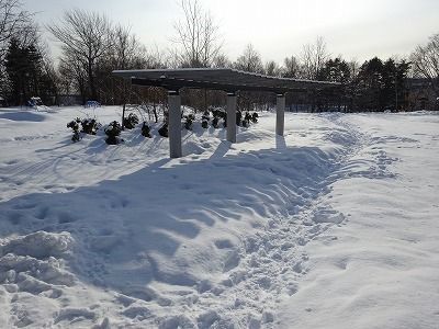 f0328313_10551455.jpg