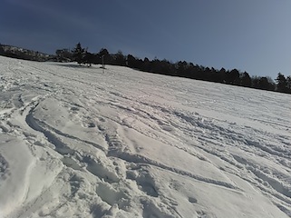 c0359615_19432617.jpg