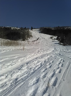 c0359615_19433840.jpg