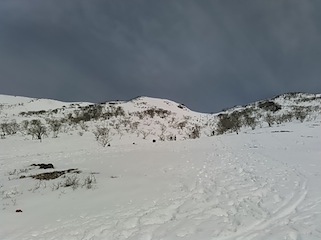 c0359615_19441235.jpg