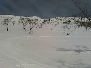 c0359615_19442479.jpg