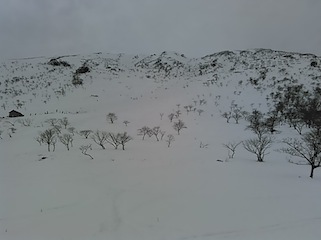 c0359615_19445979.jpg