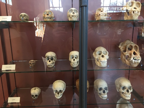 f0283816_1692520.jpg
