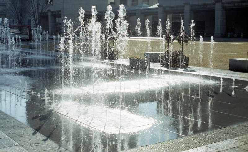 d0339617_21174352.jpg