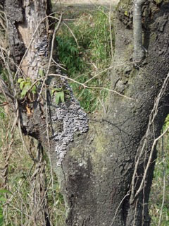 c0346119_21035517.jpg