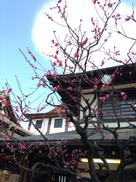 1月29日 大国魂神社へ_d0165420_21423584.jpg