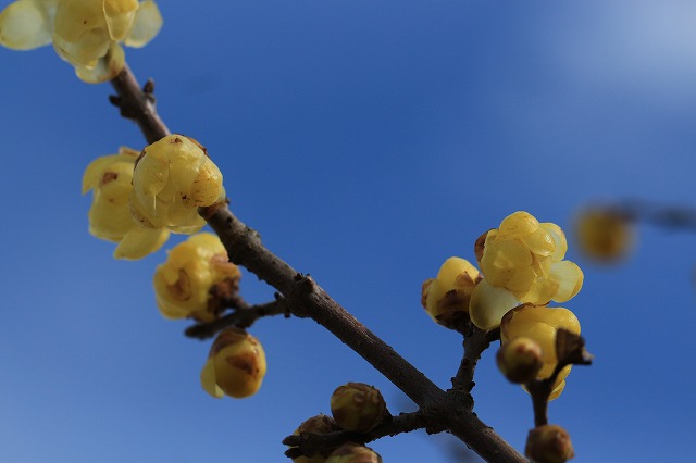 e0321325_1337213.jpg