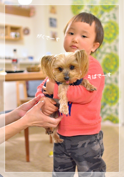 d0179828_16394403.png